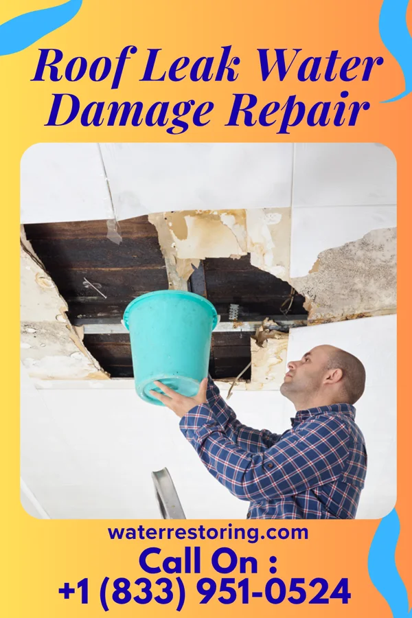 Roof Leak Water Damage Repair in Motley, MN